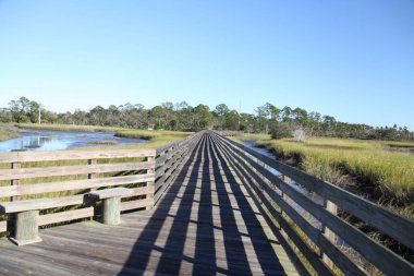 Florida'da bataklık ile ahşap yolu