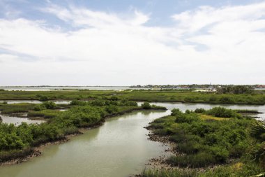 Bataklıklar Kuzey Florida