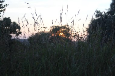 Yazın gün batımı