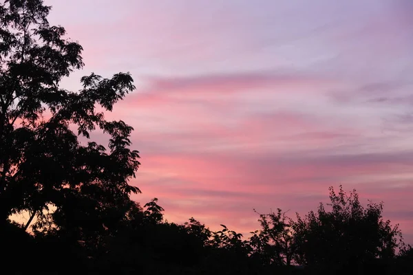 Закат Летом — стоковое фото
