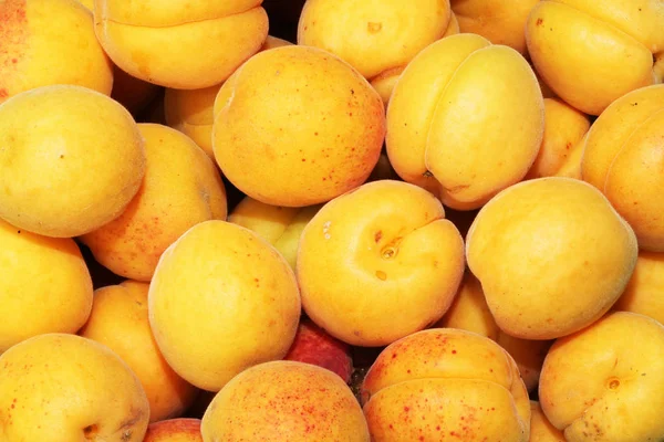 Close View Juicy Apricots — Stock Photo, Image