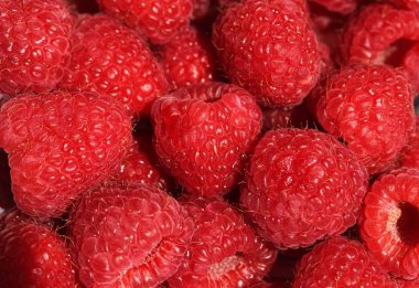 beyaz zemin üzerinde bir ahududu görünümünü kapat