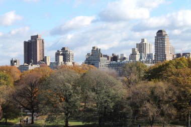 Central Park 'tan New York' un panoramik görüntüsü