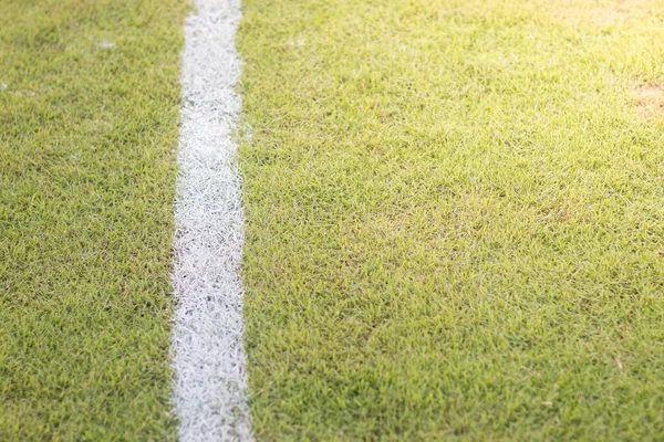 green grass field in soccor stadium close up