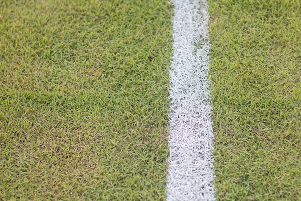 green grass field in soccor stadium close up