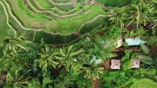 Beautiful rice terraces view from top. shoot with Drone on a sunny day. — Stock Video