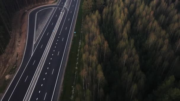 緑のトウヒの森、空中ビューを介して道路. — ストック動画