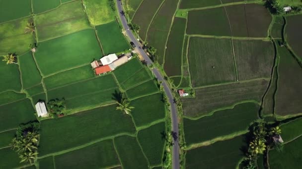 Hermosas terrazas de arroz vista desde la parte superior. disparar con Drone en un día soleado . — Vídeos de Stock