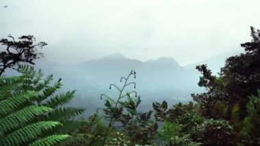 Mavi gökyüzü, bulutlar ve sis ile ormanda Tropikal dağ manzara.