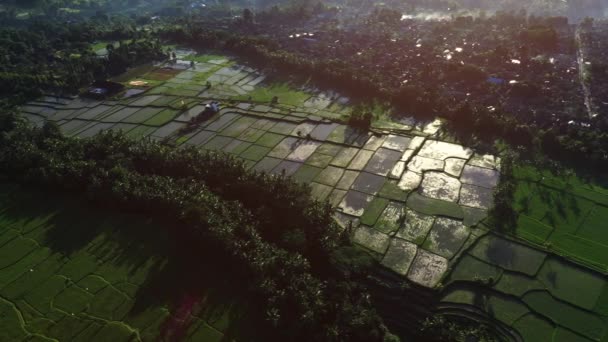 Vackra ris terrasser utsikt från toppen. Skjut med Drone på en solig dag. — Stockvideo