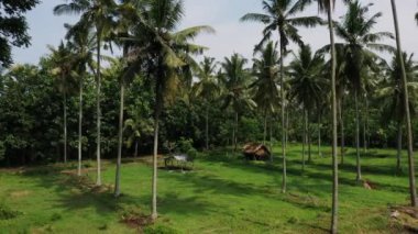 Güzel pirinç terasları yukarıdan bakılmaktadır. güneşli bir günde Drone ile ateş.