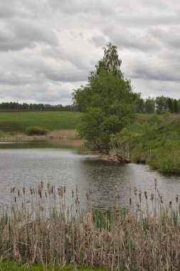 ilkbaharda coutryside gölet