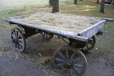 saman ile eski sepeti