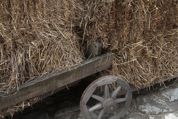 Kar Met Hooi Het Dorp — Stockfoto