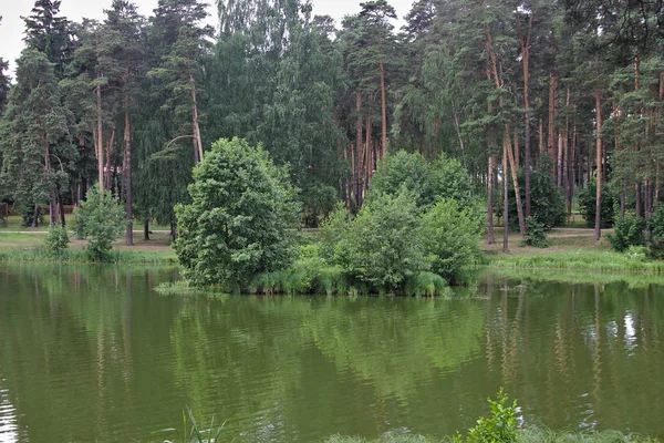 Landskap Med Utsikt Över Sjön — Stockfoto