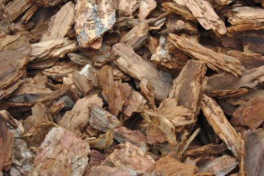 doku: ağaç kabuğu parçaları