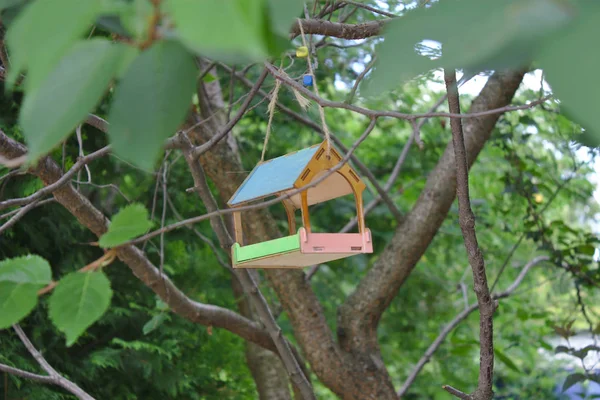 Original Vogelfutterhäuschen Baum — Stockfoto