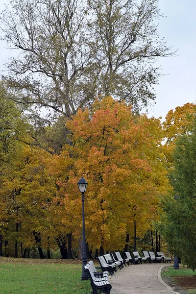 Gångvägen Parken Hösten — Stockfoto