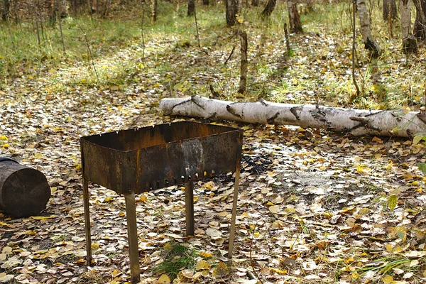 Churrasco Esquecido Floresta Outono — Fotografia de Stock