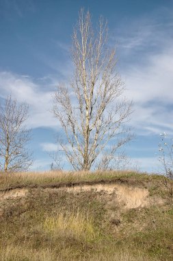Küçük bir Rus kasabasının sonbahar çevresi