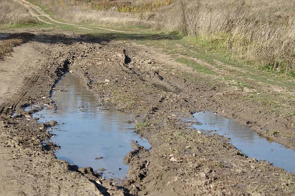 Feldweg Mit Pfützen Grünen — Stockfoto