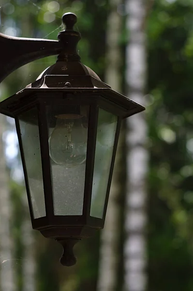 Zakurzone Vintage Latarnia Lampą Elektryczną — Zdjęcie stockowe