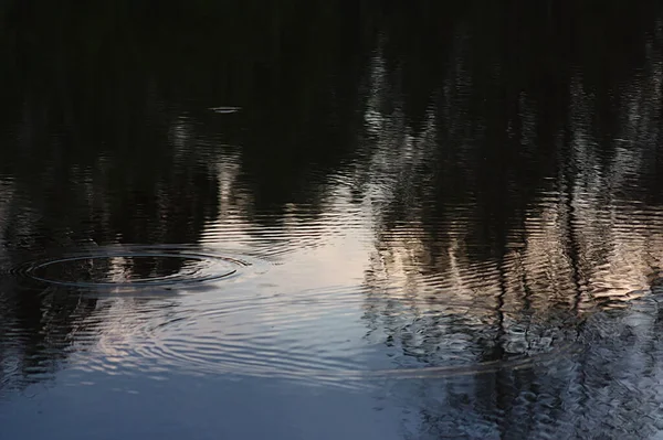 Reflejo Árboles Cielo Nocturno Agua Del Lago —  Fotos de Stock