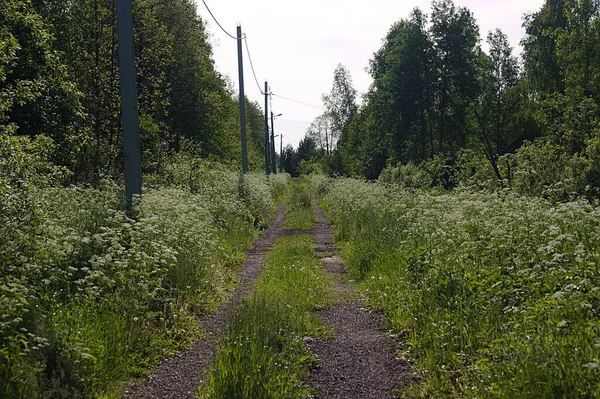 Гравійна Дорога Сільській Місцевості — стокове фото