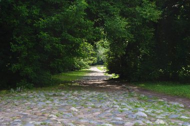 Parktaki kaldırım taşlarının yolu.