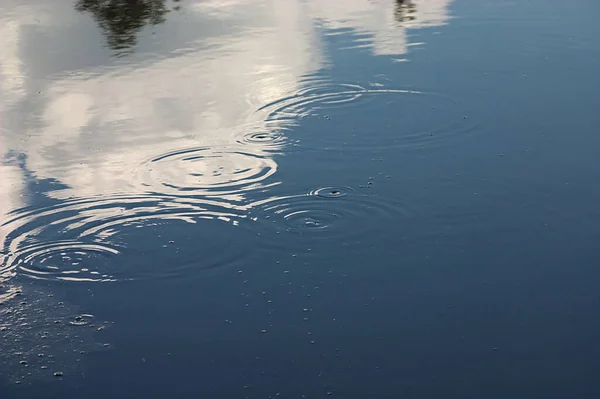 Reflejo Agua Lago Forestal —  Fotos de Stock