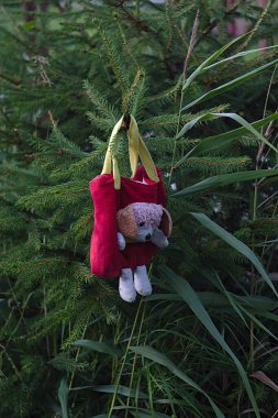 Çocukların oyuncak çantası köknar dalında asılı.