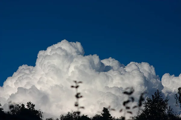 Large White Cumulus Cloud Forest — Stock Photo, Image