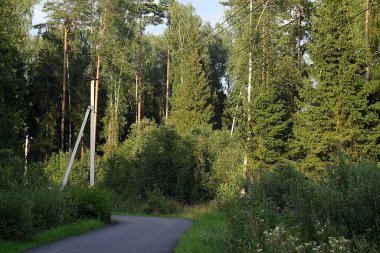 Orman bölgesinde yolun köşesinde bir karakol var.