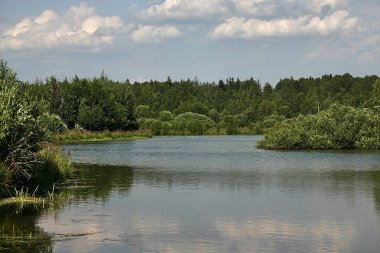Ormanın kıyısındaki göl