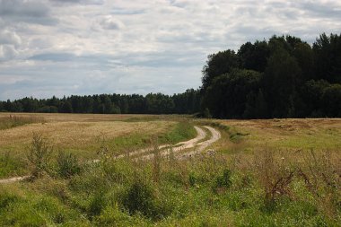 Orta Rusya 'nın yaz manzarası