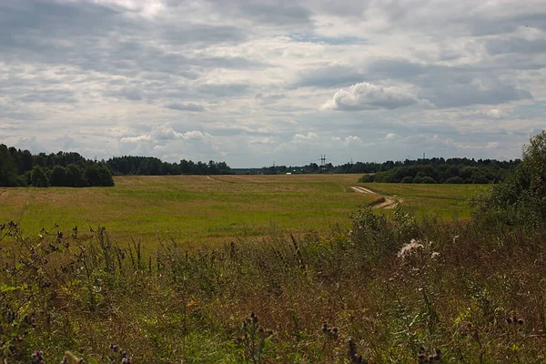 Zomers Landschap Van Midden Rusland — Stockfoto