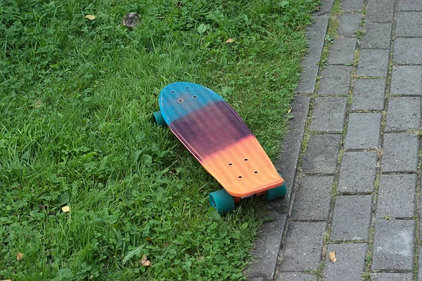 Een Veelkleurig Skateboard Het Grasveld Naast Het Kasseipad — Stockfoto