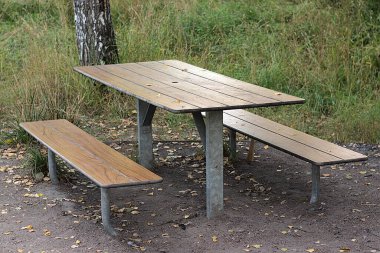 Ormanda dinlenmek için bir yer.