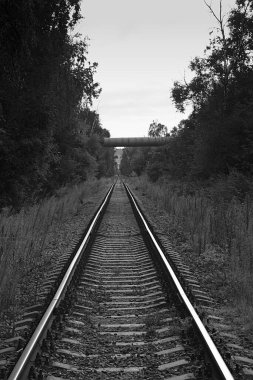 Orman parkındaki eski demiryolu hattı.