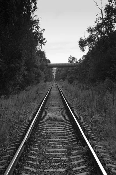 森林公园的旧铁路线 — 图库照片