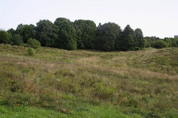 Uitzicht Het Bospark Aan Rand Van Stad — Stockfoto