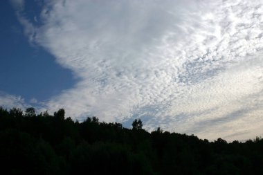 Karanlık bir ormanın üzerinde gökyüzünde güzel bir bulut.