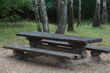 Ormanlık alanda dinlenmek için bir yer.