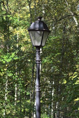 Parktaki ağaçların arasında eski bir fener.