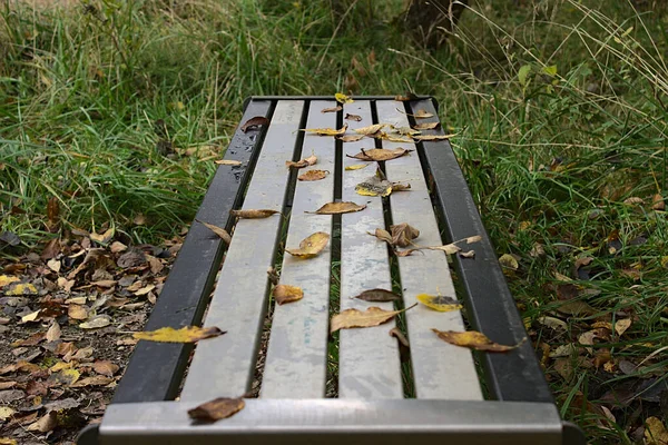 公園のベンチに乾いた秋の葉 — ストック写真