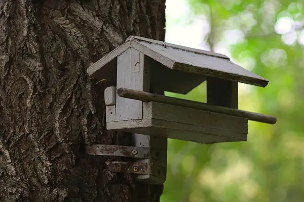 Vogelvoeder Vorm Van Een Huis — Stockfoto