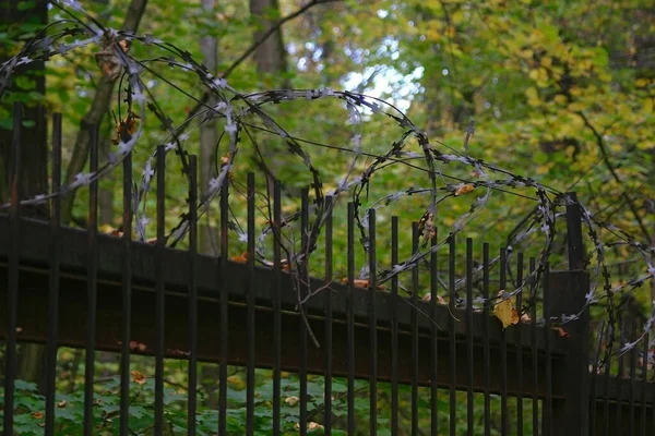 秋天森林的篱笆上有铁丝网 — 图库照片