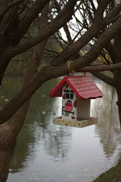 Alimentador Aves Original Uma Árvore Perto Lagoa — Fotografia de Stock