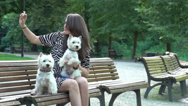 Glückliche Frau mit zwei weißen Terrier-Hunden beim Selfie auf Bank. Statischer Schuss — Stockvideo