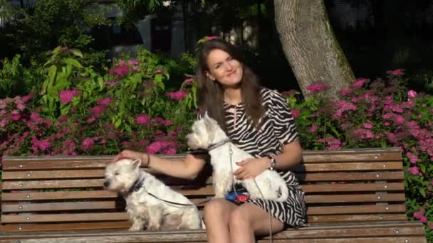 Mulher feliz com cães de estimação sentados no banco do parque e sorrir olhando para a câmera — Vídeo de Stock